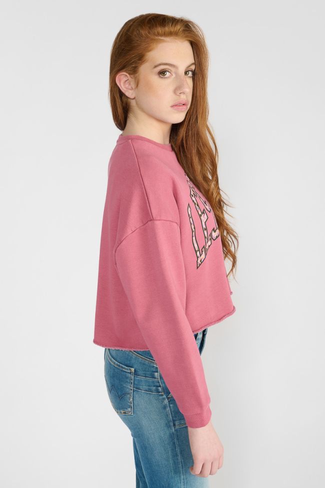 Sweatshirt Filougi in rosa