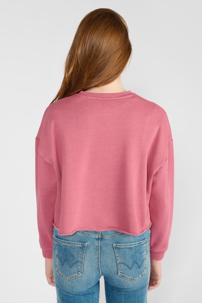 Sweatshirt Filougi in rosa