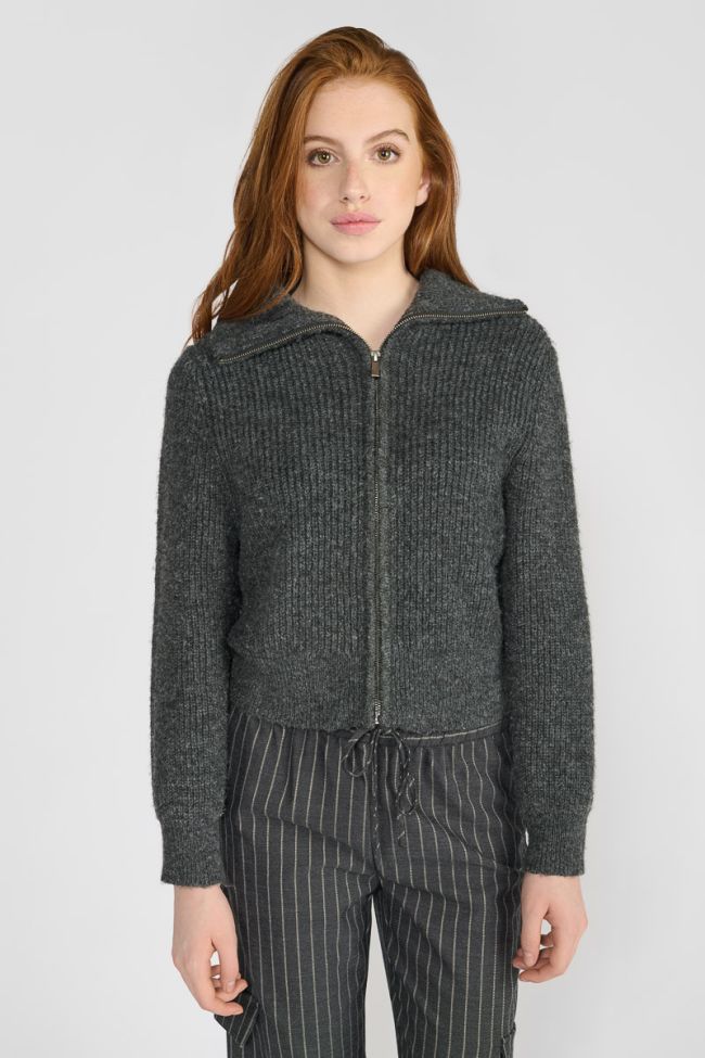 Cardigan Fordgi in grau