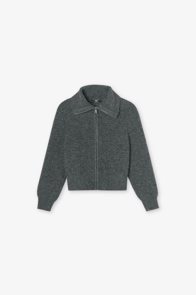 Cardigan Fordgi in grau