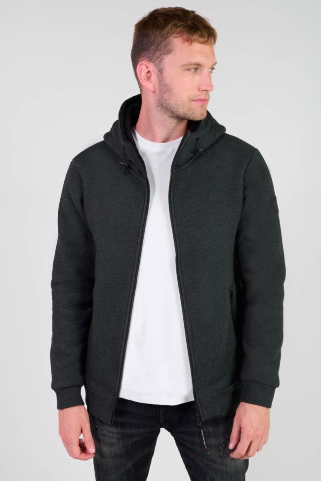 Kapuzen-sweatshirt Disal in grau
