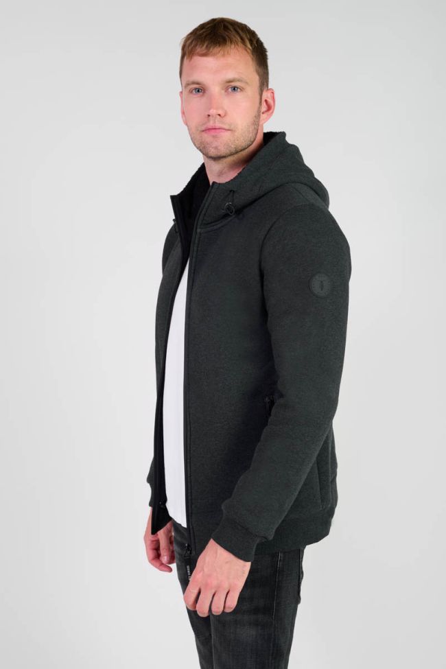 Kapuzen-sweatshirt Disal in grau