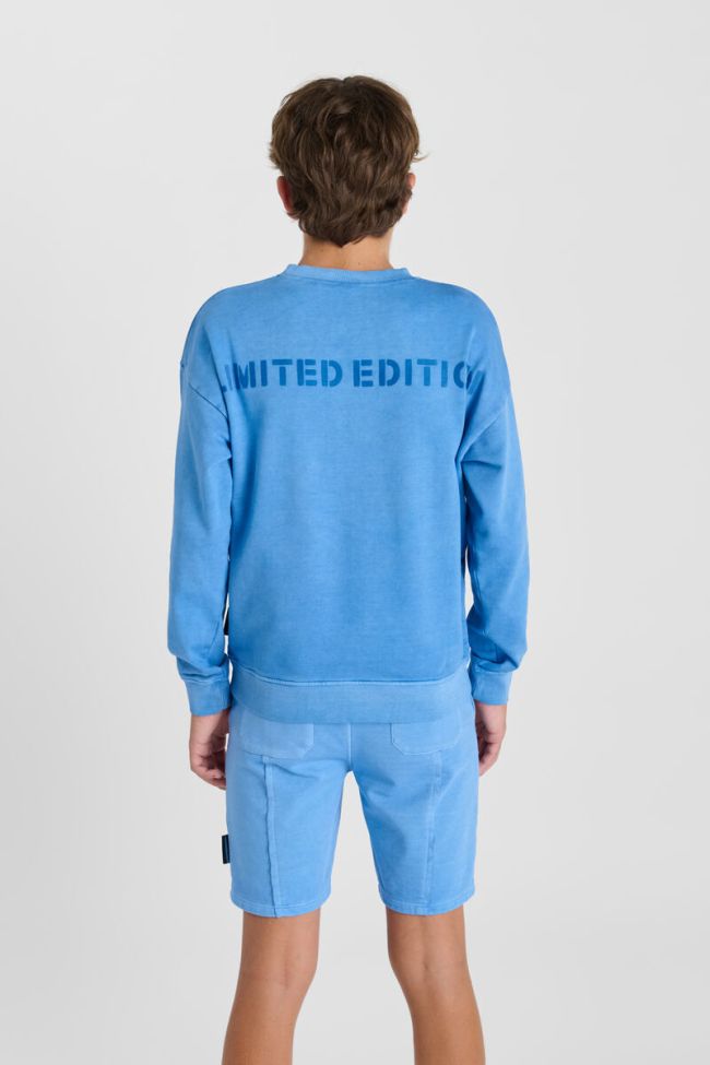 Sweatshirt Andibo