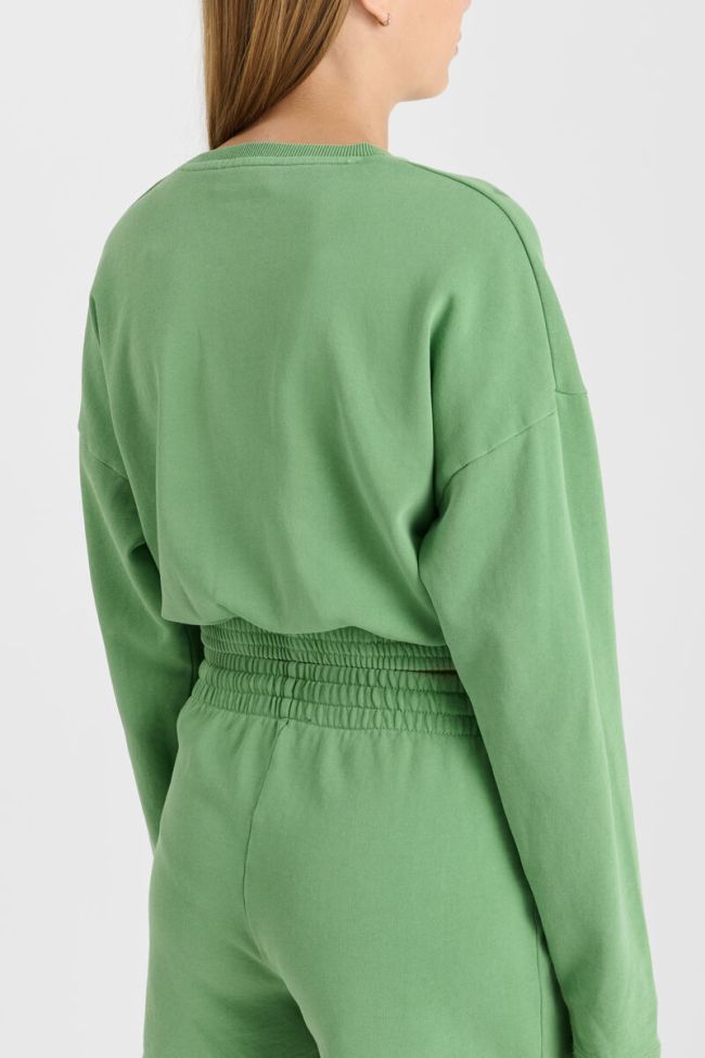 Sweatshirt Elpigi