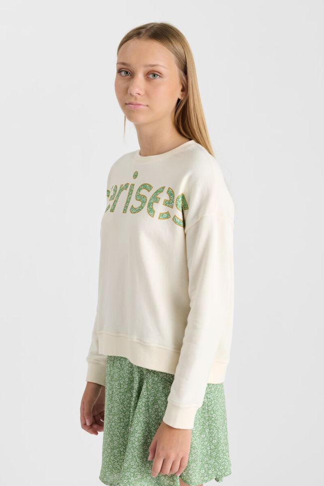 Sweatshirt Ratagi
