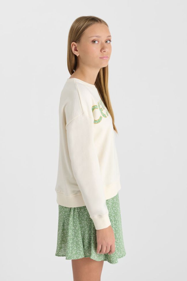 Sweatshirt Ratagi