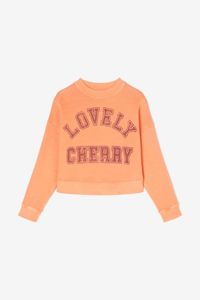 Sweatshirt Stephagi
