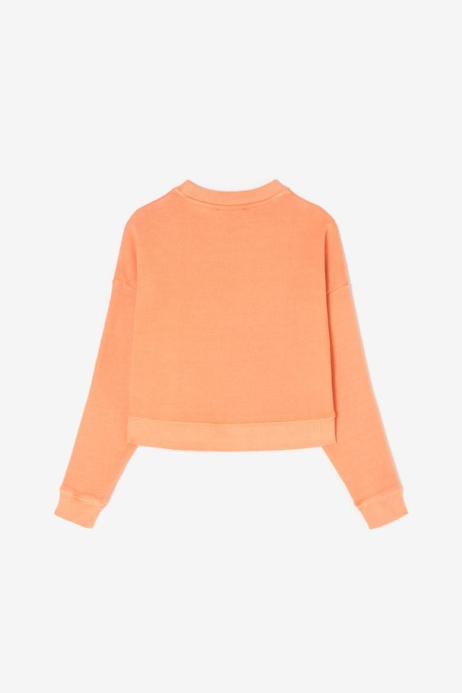 Sweatshirt Stephagi