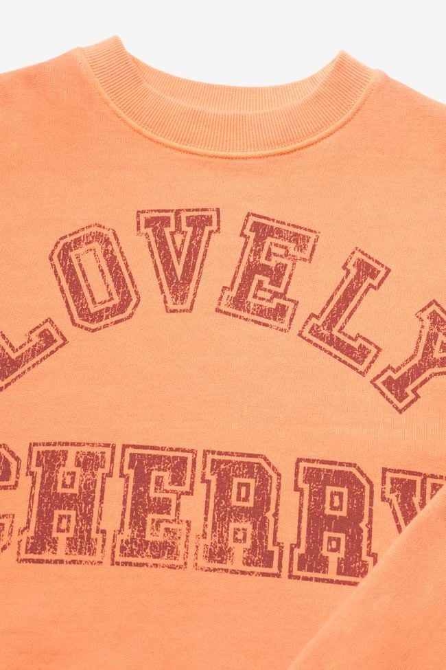 Sweatshirt Stephagi