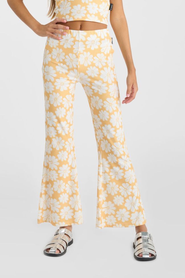 Hose Archigi