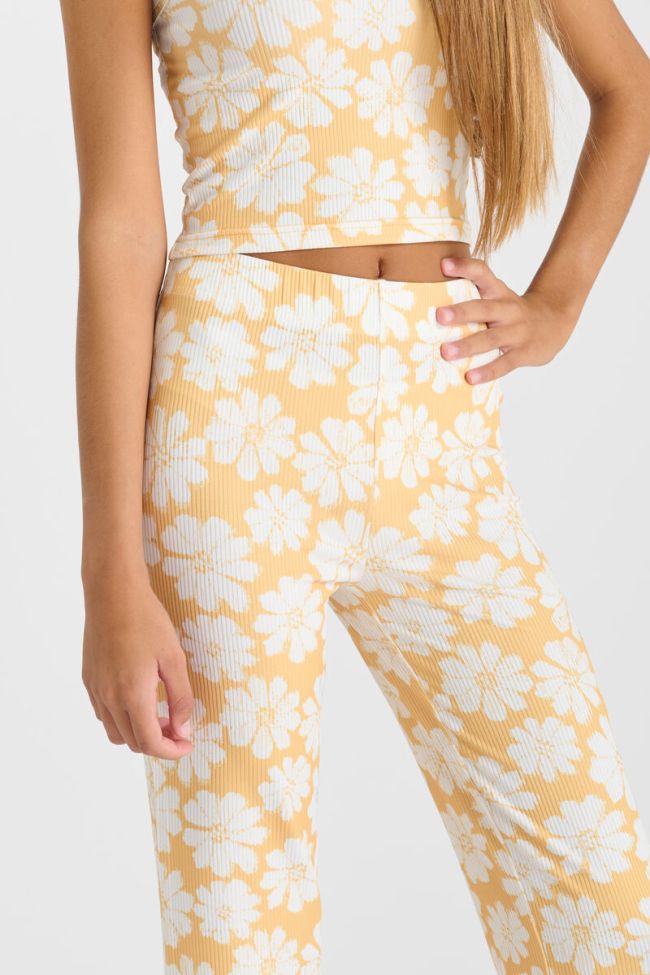 Hose Archigi