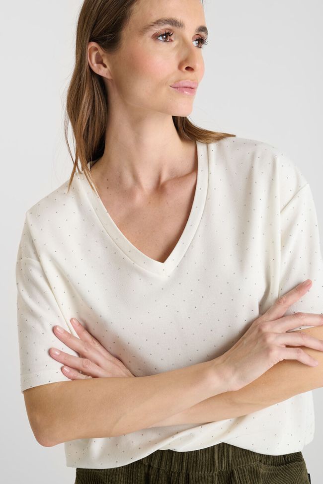 T-shirt Alasko
