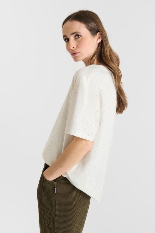 T-shirt Alasko