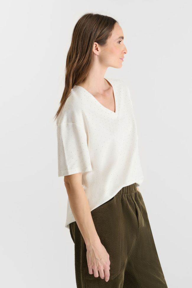 T-shirt Alasko