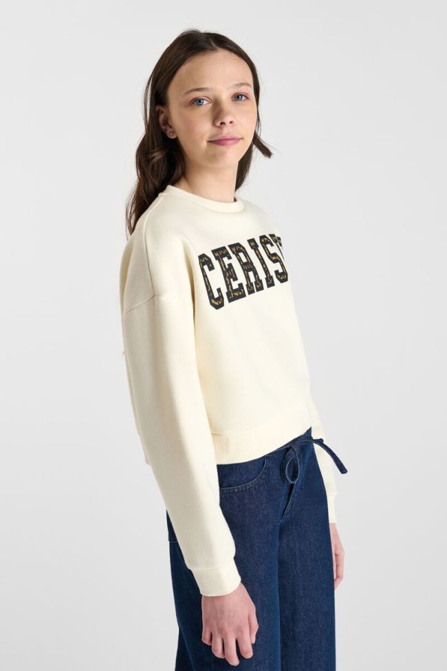 Sweatshirt Dianegi