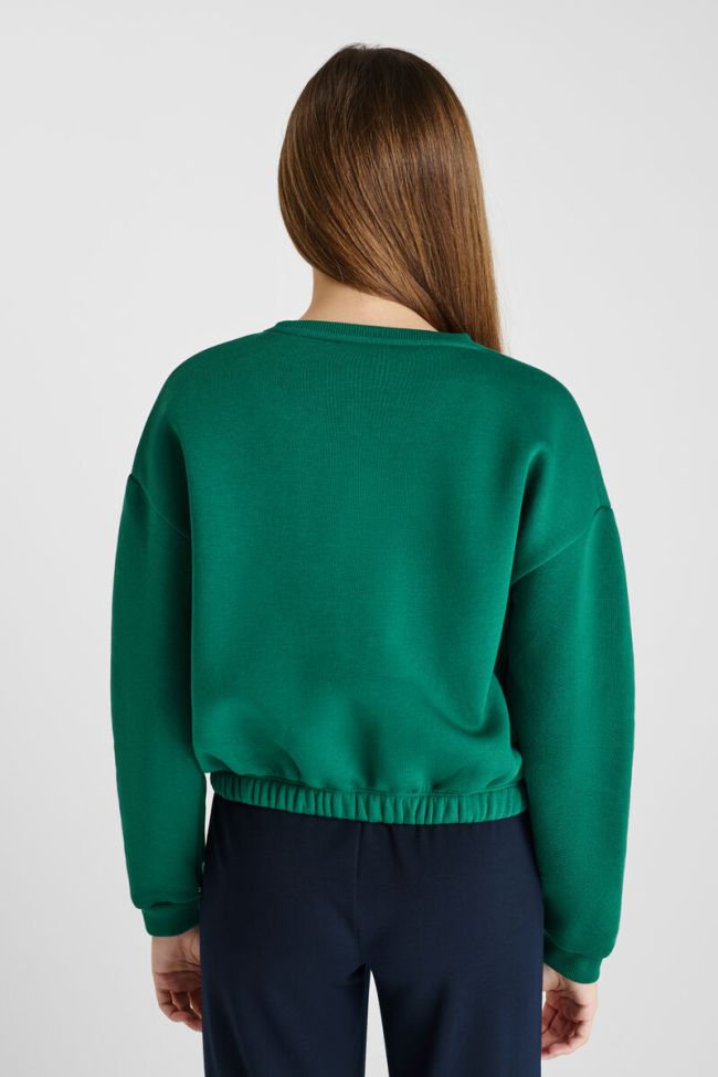 Sweatshirt Hellagi